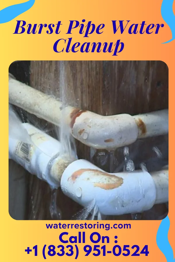 Burst Pipe Water Cleanup in Beaver, PA