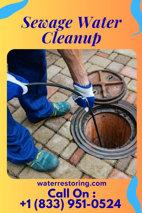 Sewage Water Cleanup in Beaver, PA